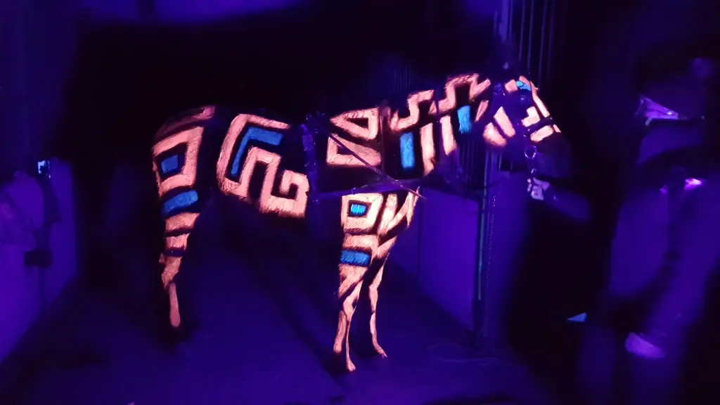 Uv body painting on a horse - Artist Riina Laine